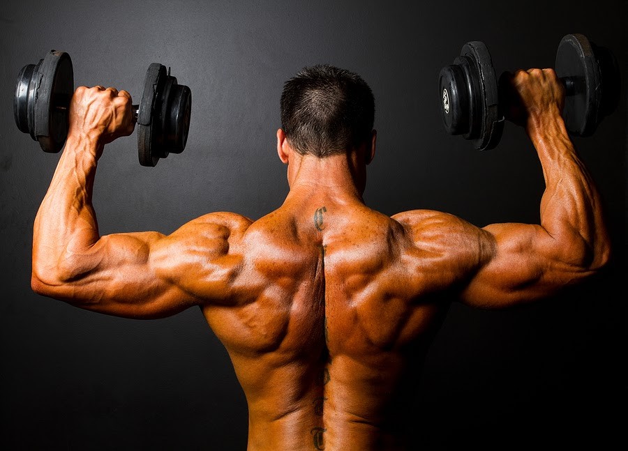 Benefits Of Building Lean Muscle Mass